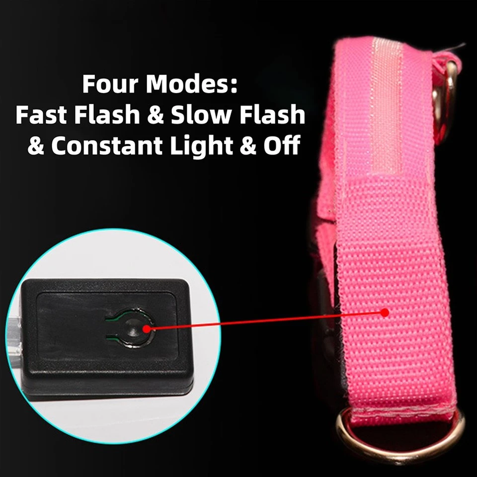Lighted Dog Collars And Leashes price